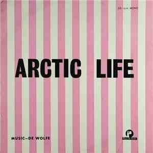 The International Studio Orchestra - Arctic Life