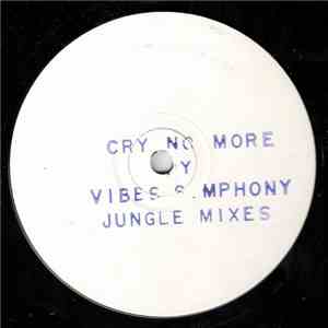 Vibes Symphony - Cry No More (Jungle Mixes)