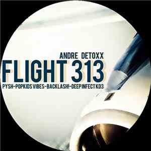 Andre Detoxx - Flight 313