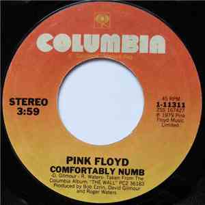 Pink Floyd - Comfortably Numb