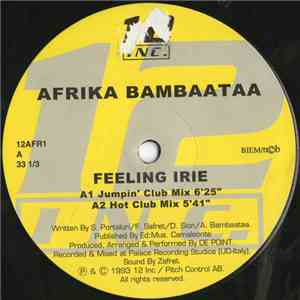 Afrika Bambaataa - Feeling Irie