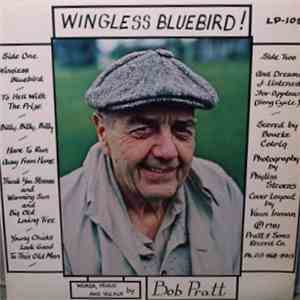 Bob Pratt - Wingless Bluebird!