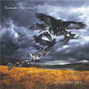 David Gilmour - Rattle That Lock