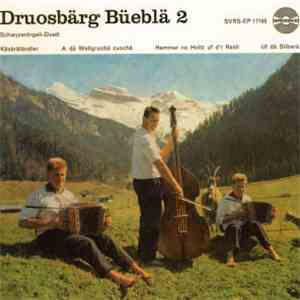 Druosbärg Büeblä - 2