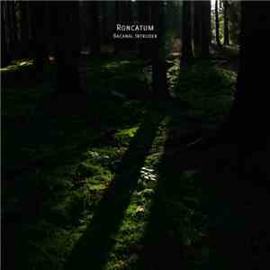 Bacanal Intruder - Roncatum