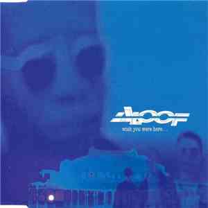 The Aloof - Wish You Were Here...