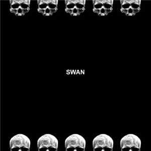Swan  - Untitled