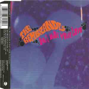 The Rembrandts - Don't Hide Your Love