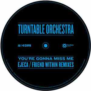 Turntable Orchestra - You're Gonna Miss Me