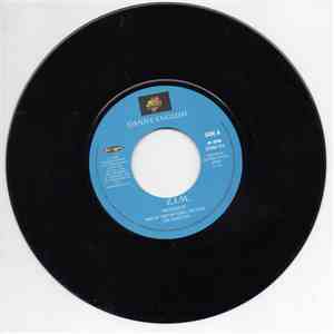 Danny English - Z. I. M.