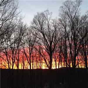 Dweller On The Threshold - Barnfire