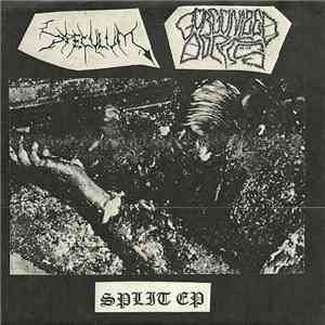 Gorgonized Dorks / Speculum  - Split EP