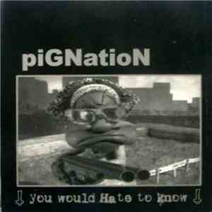 Pignation - You Would Hate To Know