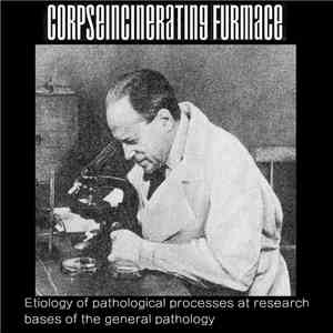 Corpseincinerating Furmace - Etiology Of Pathological Processes At Research ...
