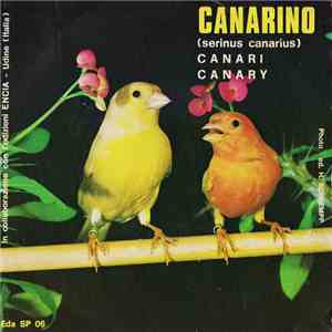No Artist - Canarino (Serinus Canarius)