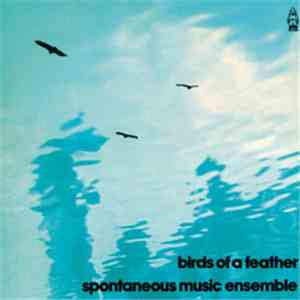 Spontaneous Music Ensemble - Birds Of A Feather