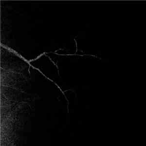 Strategic Silence - Only Nightmares