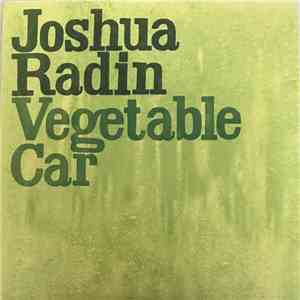 Joshua Radin - Vegetable Car