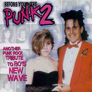 Various - Before You Were Punk 2