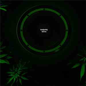 A Flipping Budjunky - Thrive