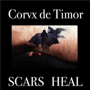 Corvx de Timor - Scars Heal