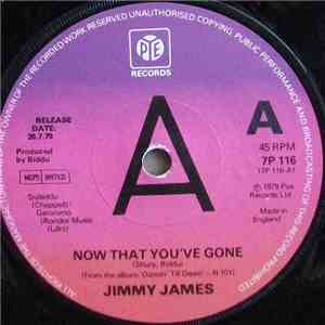 Jimmy James - Now That You've Gone
