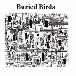 Buried Birds - The Empty Lake Of Sanity EP