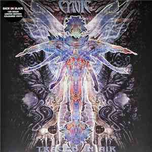 Cynic  - Traced In Air
