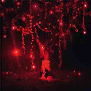 Sophie Hunger - The Danger Of Light