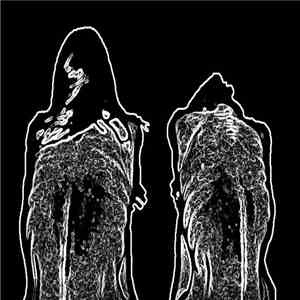 Swollen Organs - Hollow
