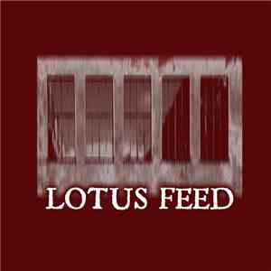 Lotus Feed - Dr. Death ​/​ Loveshock