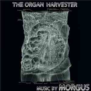 Morgus  - The Organ Harvester