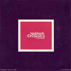 Neginah Orchestra - Presents The Pulsebeat of Today's Jewish Music