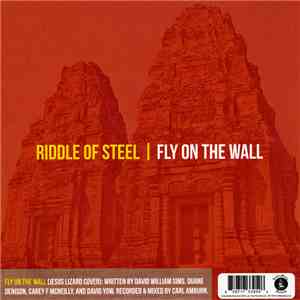 Riddle Of Steel / Traindodge - Fly On The Wall / Robowindows