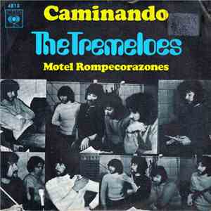 The Tremeloes - Caminando