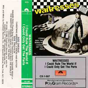 The Waitresses - I Could Rule The World If I Could Only Get The Parts