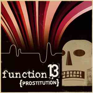 Function 13 - Prostitution