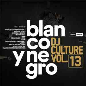 Various - Blanco Y Negro DJ Culture Vol.13
