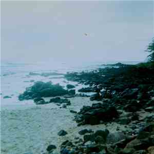 Celer - Advert Subversion