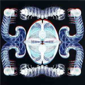 Elmore Judd - Tron Song / Don't Lie