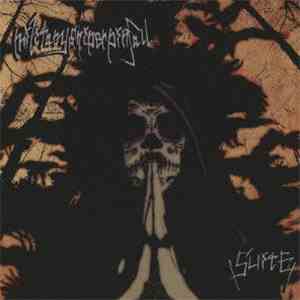 Militarysniperpinfall - Suite