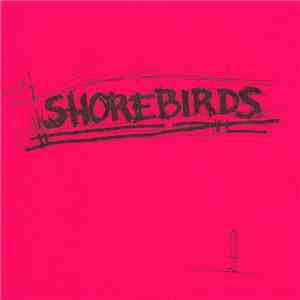 Shorebirds - Shorebirds