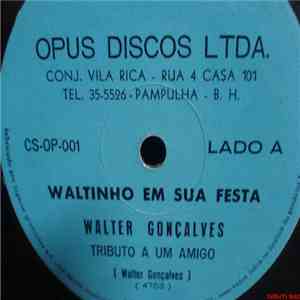 Walter Gonçalves - Tributo A Um Amigo / Feitiço Da Vila / Palpite Infeliz
