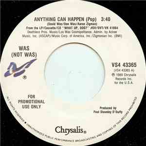 Was (Not Was) - Anything Can Happen