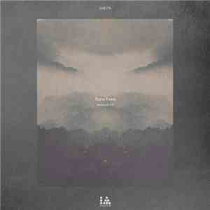 Wave Form  - Molecole EP