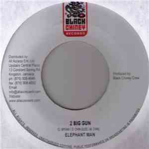 Elephant Man - 2 Big Gun