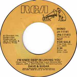 Dave & Sugar - I'm Knee Deep In Loving You
