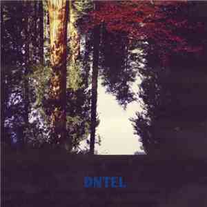 Dntel - Aimlessness