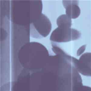 Dreamsploitation - Possibles
