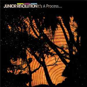 Junior Revolution - It's A Process...